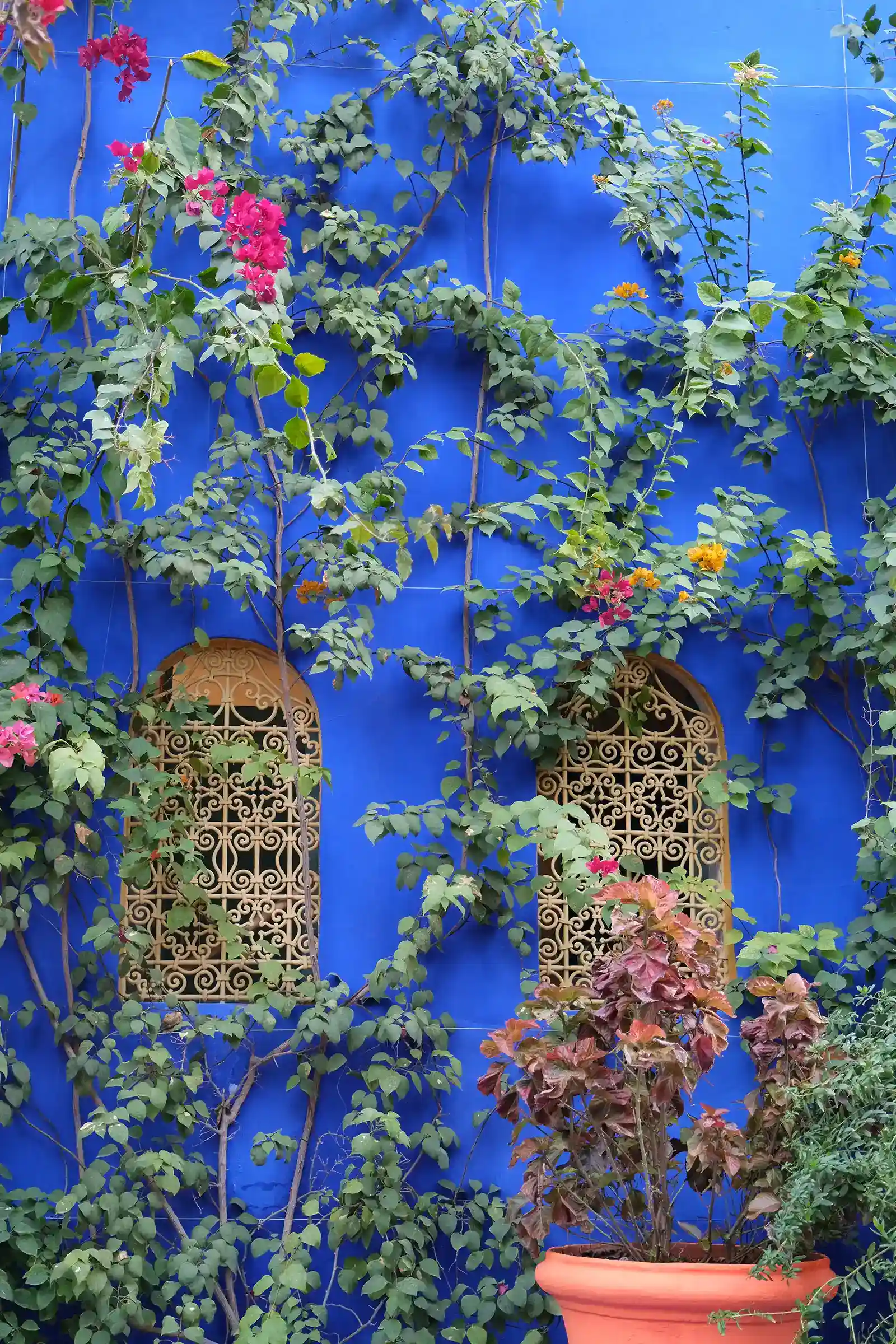 Jardin Majorelle à Marrakech