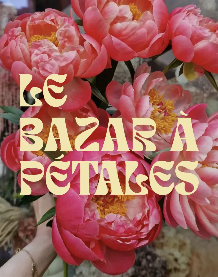 Création de l'identité et du site du Bazar à Pétales