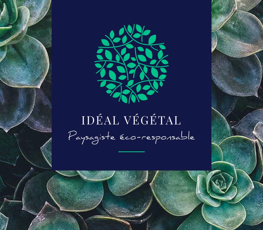 Création Logo & Site Web Ideal Végétal